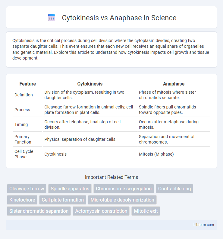 Anaphase vs Cytokinesis in Science - What is The Difference?