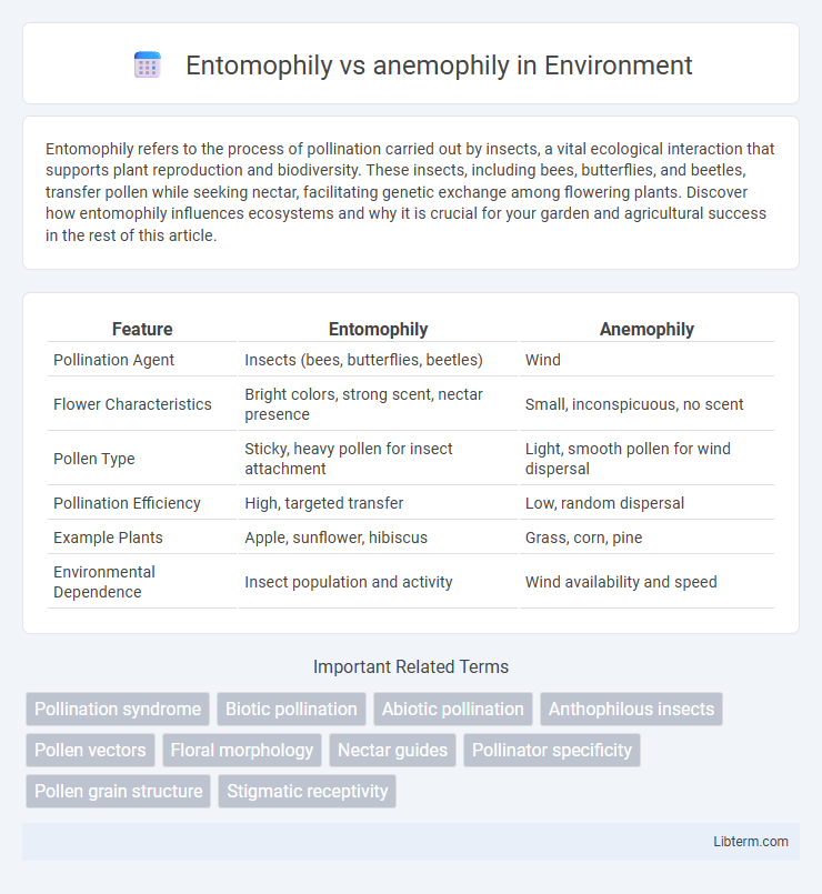 anemophily vs Entomophily in Environment - What is The Difference?