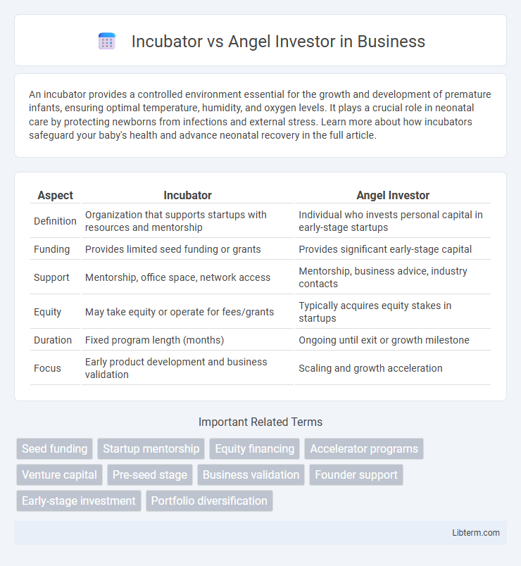 Angel Investor vs Incubator in Business - What is The Difference?