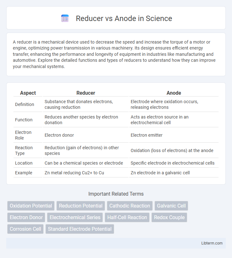 Anode vs Reducer in Science - What is The Difference?