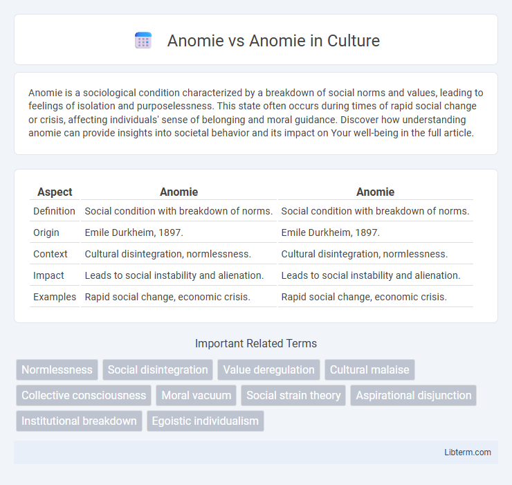 Anomie vs Anomie in Culture - What is The Difference?