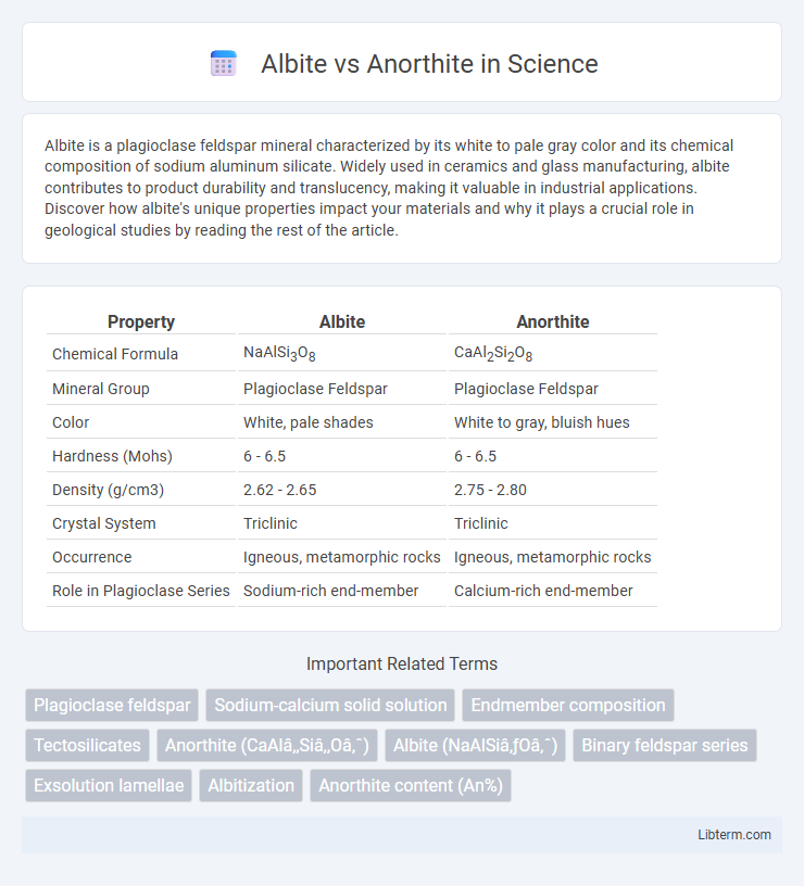 Anorthite vs Albite in Science - What is The Difference?