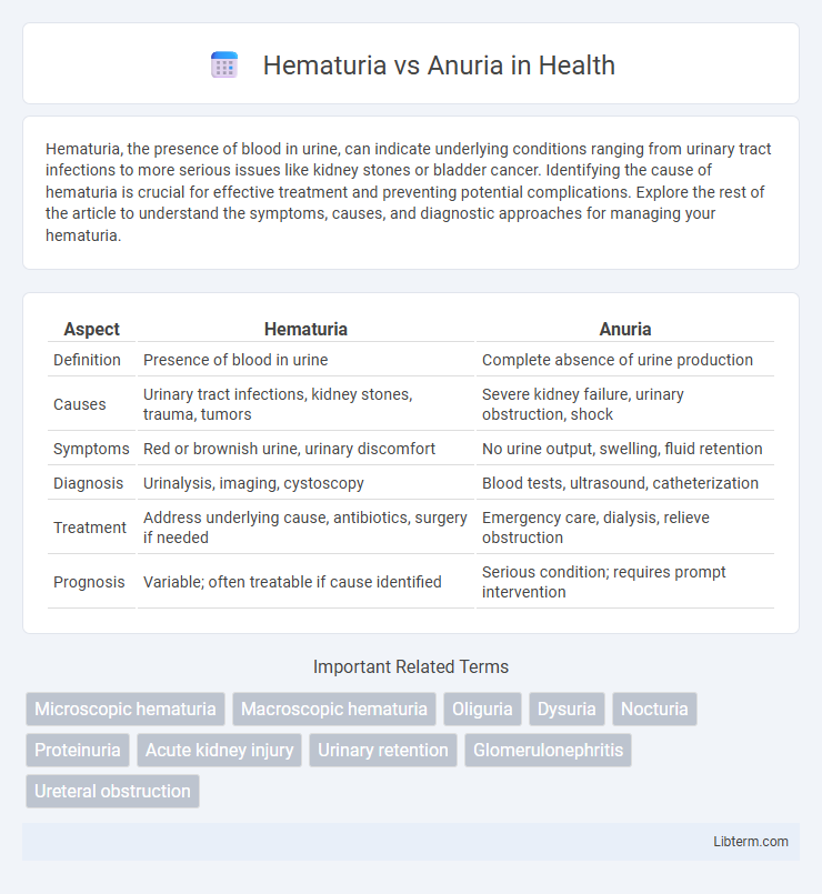 Anuria vs Hematuria in Health - What is The Difference?
