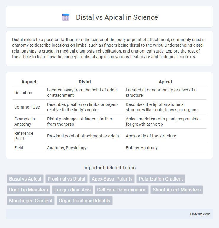 Apical vs Distal in Science - What is The Difference?