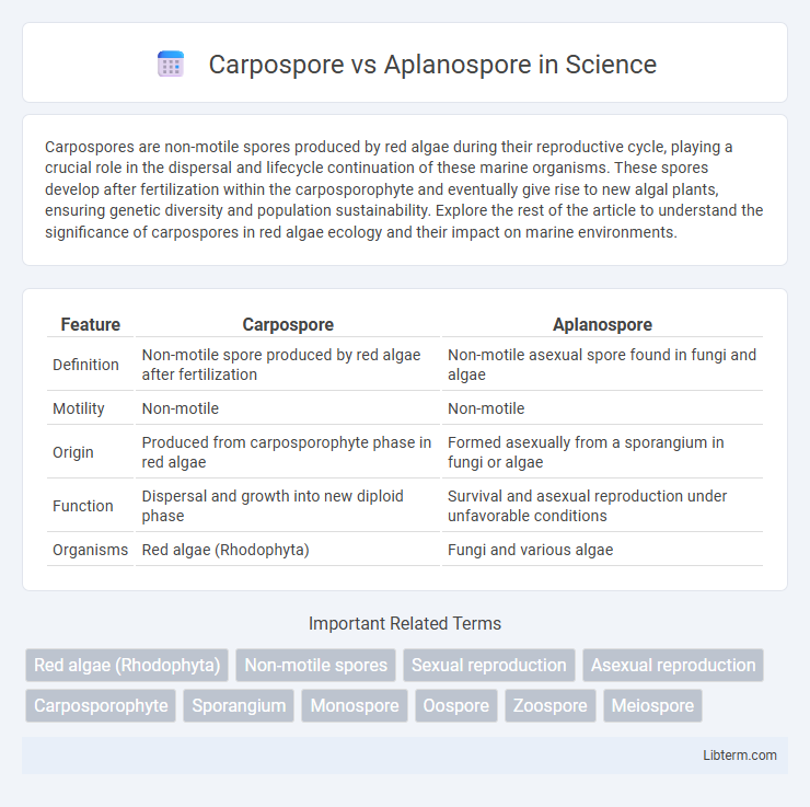 Aplanospore vs Carpospore in Science - What is The Difference?