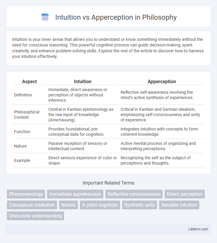 Apperception vs Intuition in Philosophy - What is The Difference?