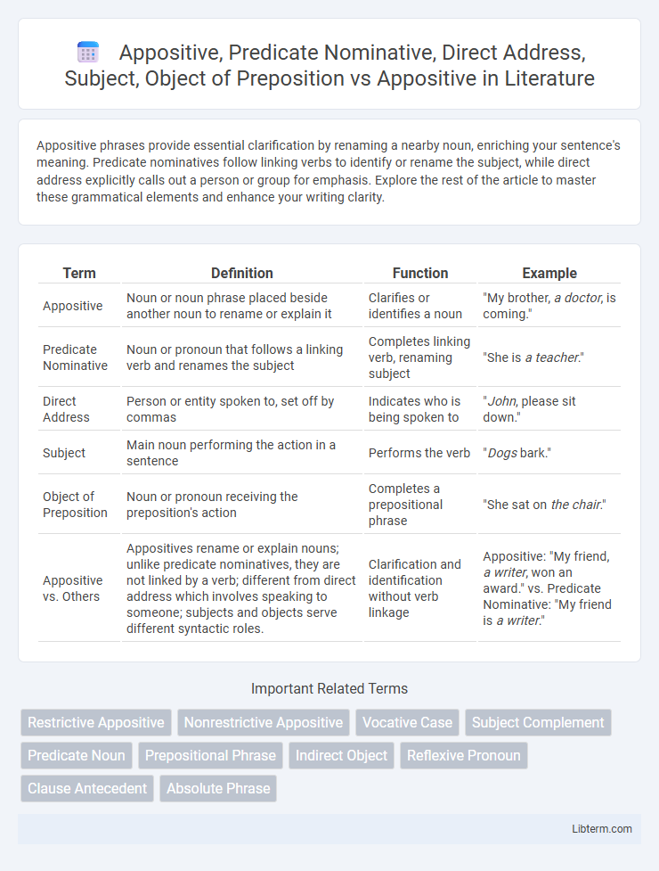 Appositive vs Appositive, Predicate Nominative, Direct Address, Subject, Object of Preposition in Literature - What is The Difference?