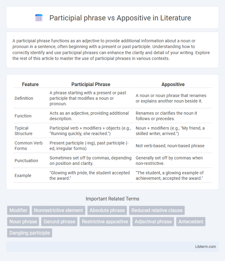 Appositive vs Participial phrase in Literature - What is The Difference?