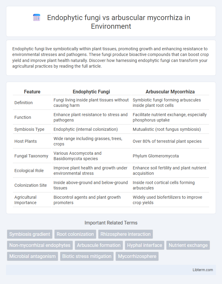 arbuscular mycorrhiza vs Endophytic fungi in Environment - What is The Difference?