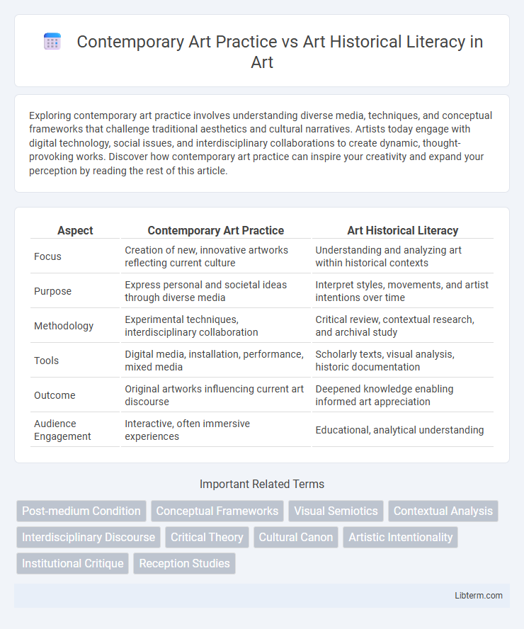 Art Historical Literacy vs Contemporary Art Practice in Art - What is The Difference?