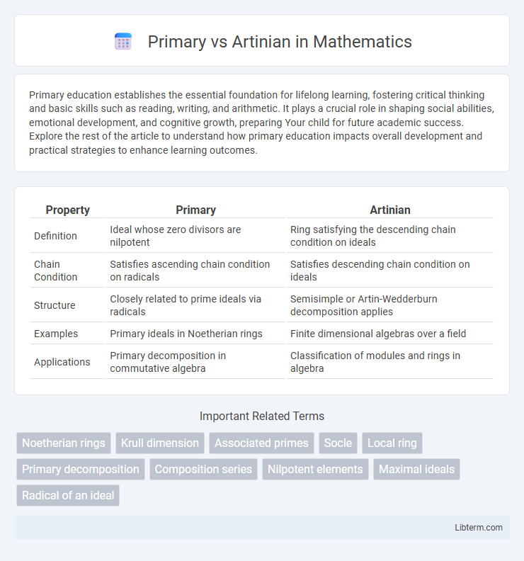 Artinian vs Primary in Mathematics - What is The Difference?