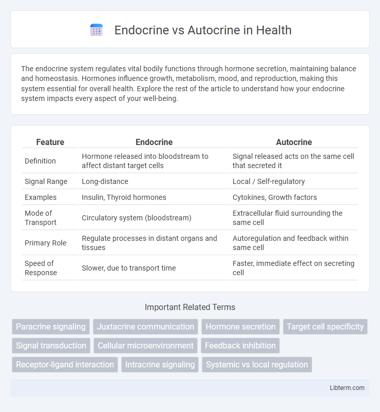 Autocrine vs Endocrine in Health - What is The Difference?