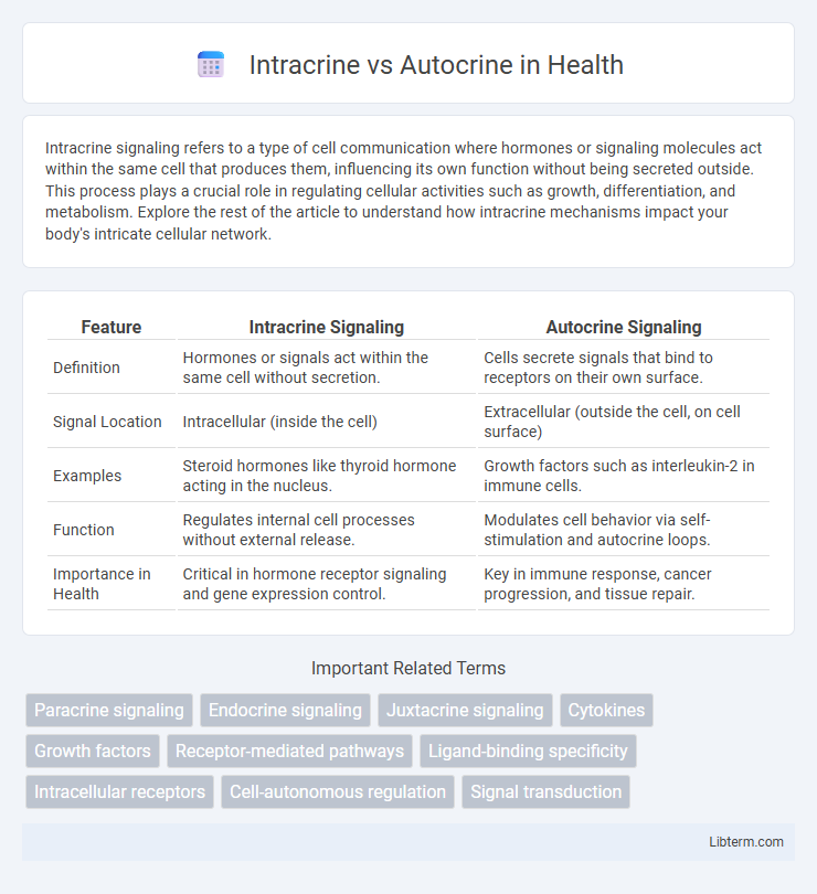 Autocrine vs Intracrine in Health - What is The Difference?