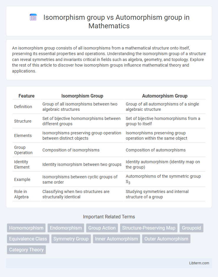 Automorphism group vs Isomorphism group in Mathematics - What is The Difference?