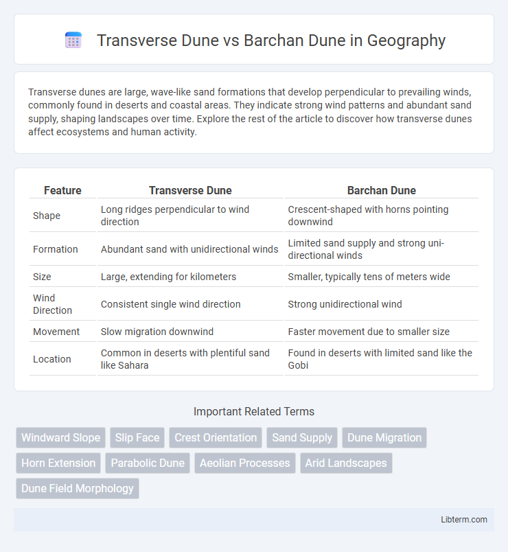 Barchan Dune vs Transverse Dune in Geography - What is The Difference?
