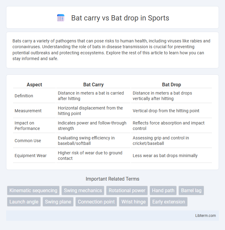 Bat drop vs Bat carry in Sports - What is The Difference?