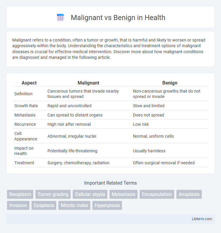 Benign vs Malignant in Health - What is The Difference?