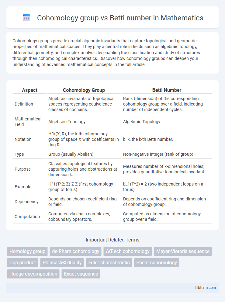 Betti number vs Cohomology group in Mathematics - What is The Difference?