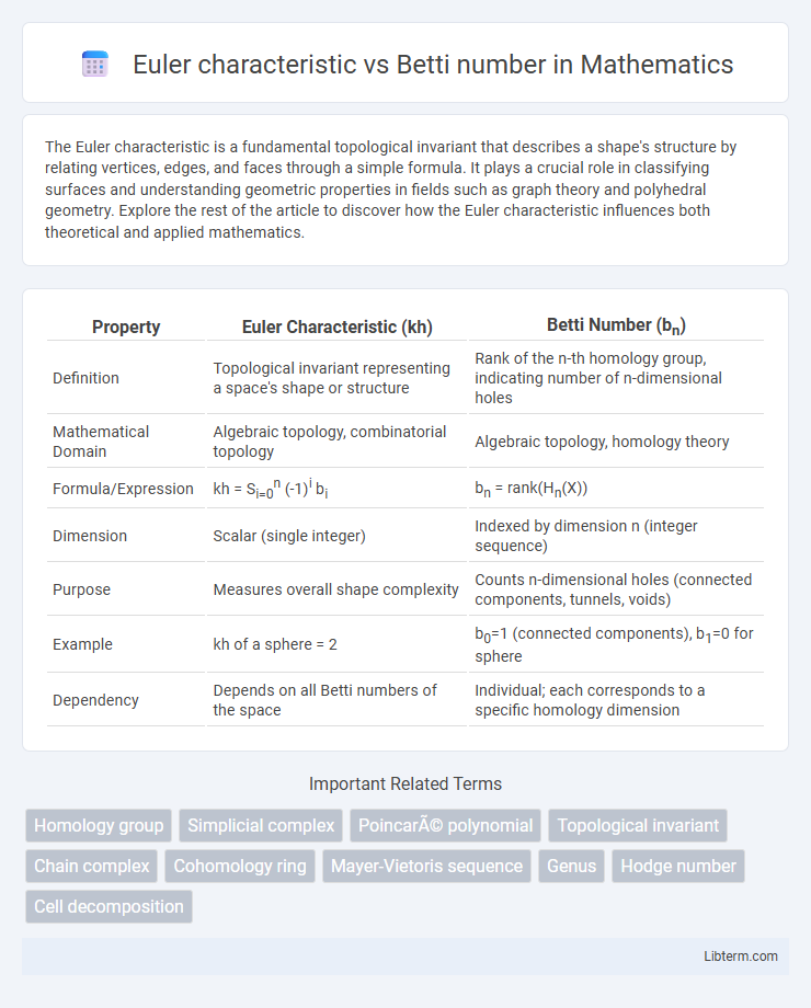 Betti number vs Euler characteristic in Mathematics - What is The Difference?