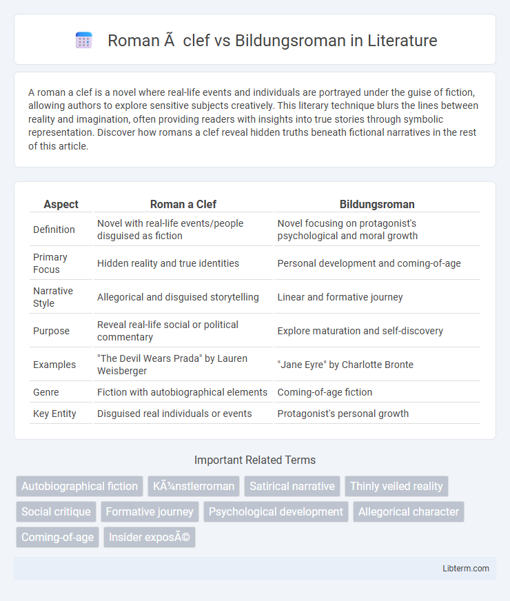 Bildungsroman vs Roman à clef in Literature - What is The Difference?