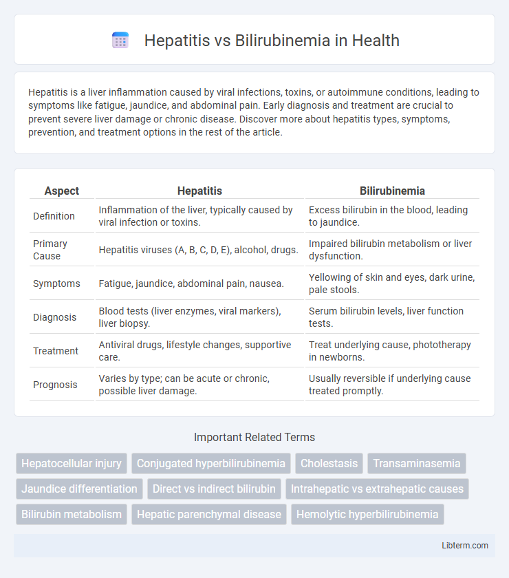 Bilirubinemia vs Hepatitis in Health - What is The Difference?