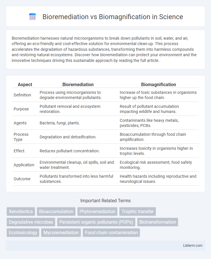 Biomagnification vs Bioremediation in Science - What is The Difference?