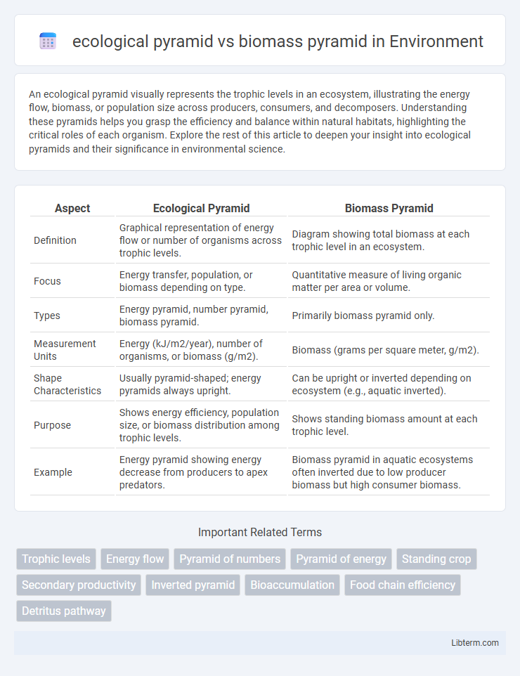 biomass pyramid vs ecological pyramid in Environment - What is The Difference?