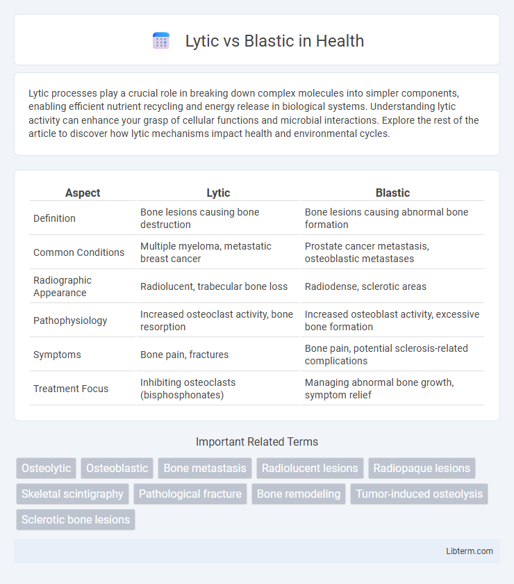 Blastic vs Lytic in Health - What is The Difference?
