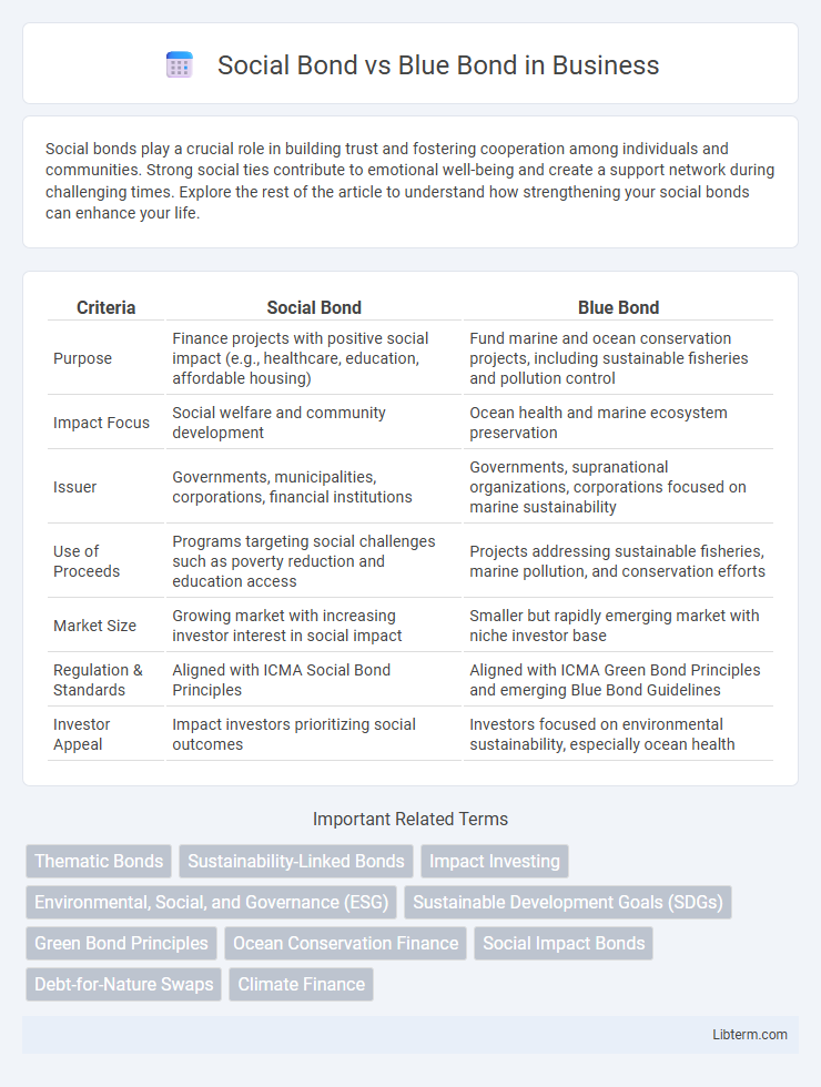Blue Bond vs Social Bond in Business - What is The Difference?