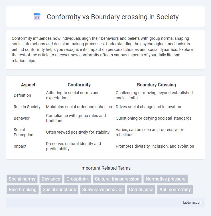 Boundary crossing vs Conformity in Society - What is The Difference?