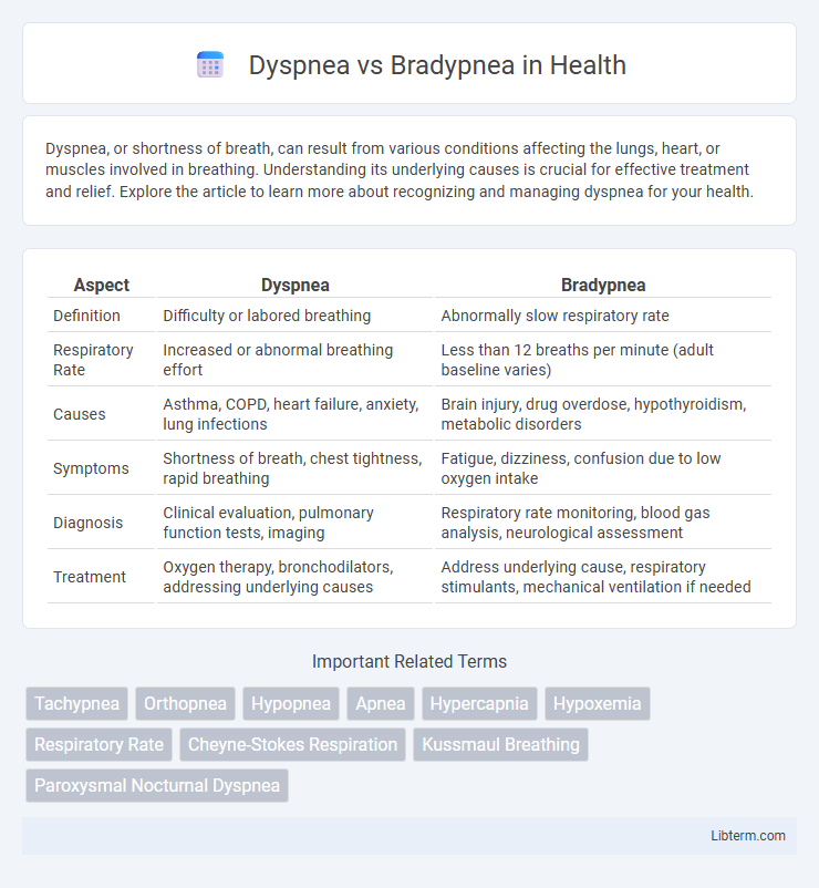 Bradypnea vs Dyspnea in Health - What is The Difference?