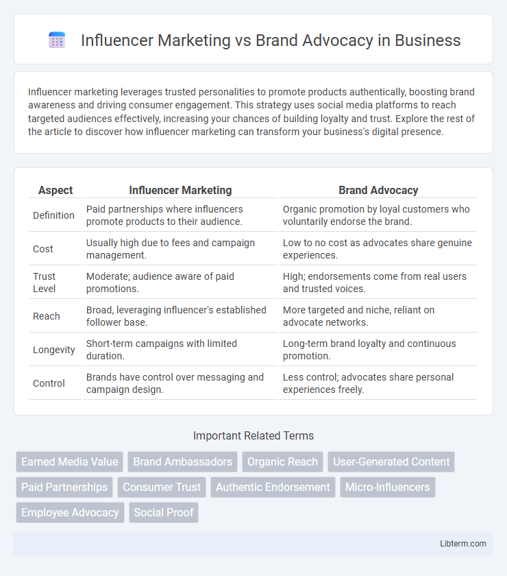 Brand Advocacy vs Influencer Marketing in Business - What is The Difference?