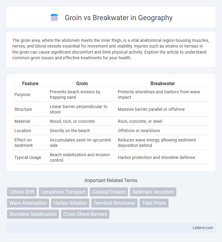 Breakwater vs Groin in Geography - What is The Difference?