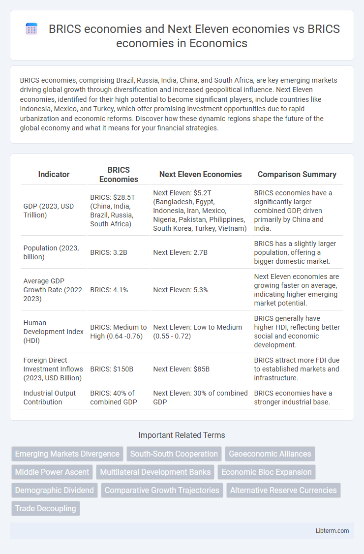 BRICS economies vs BRICS economies and Next Eleven economies in Economics - What is The Difference?