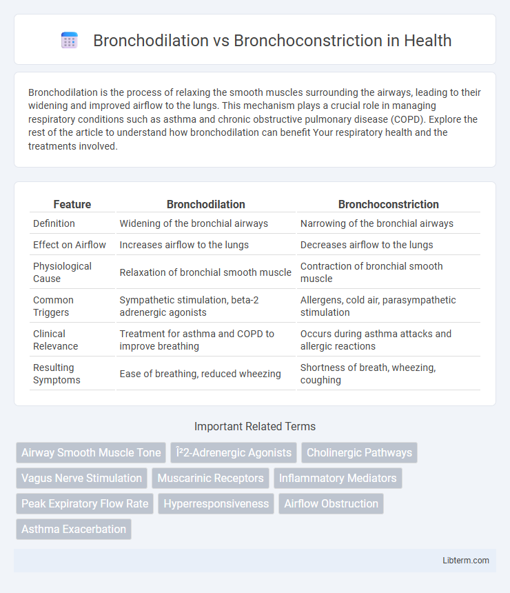Bronchoconstriction vs Bronchodilation in Health - What is The Difference?