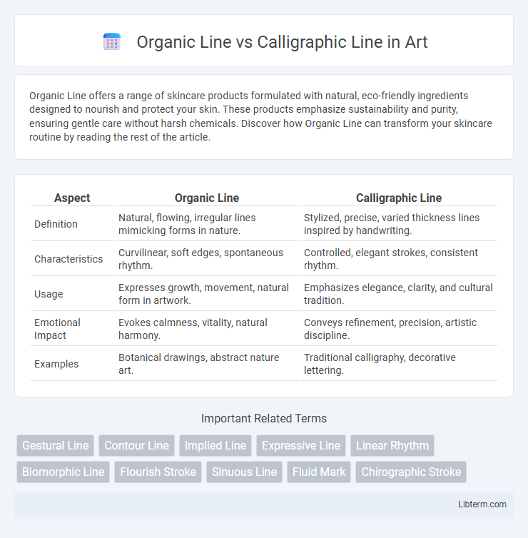 Calligraphic Line vs Organic Line in Art - What is The Difference?