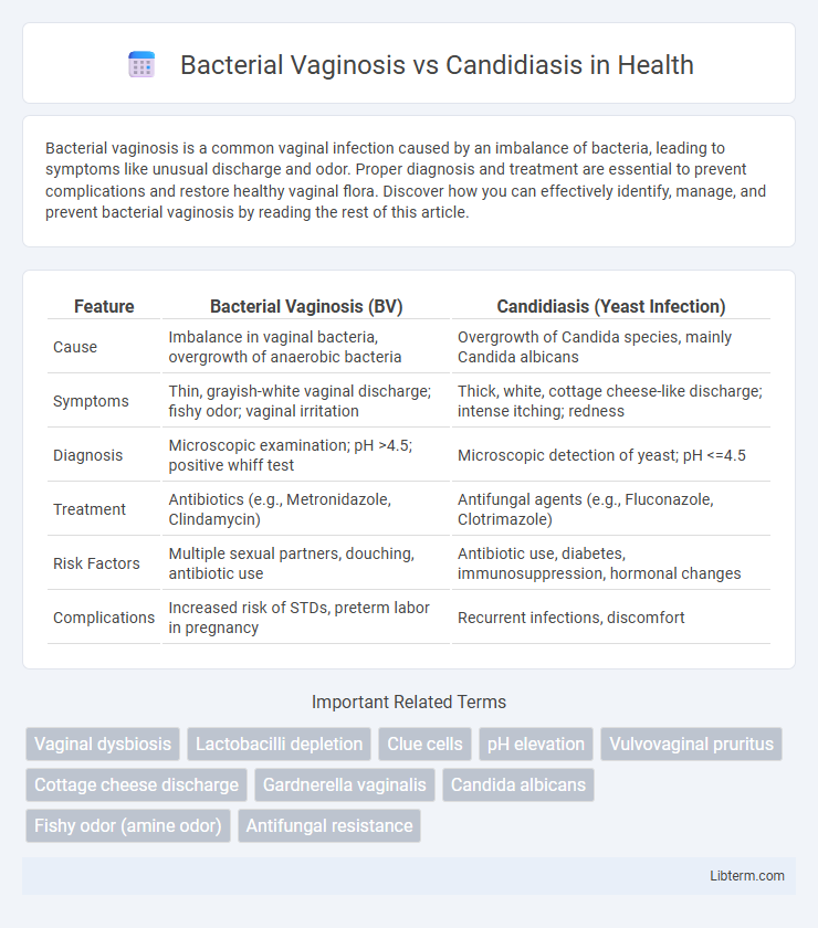 Candidiasis vs Bacterial Vaginosis in Health - What is The Difference?