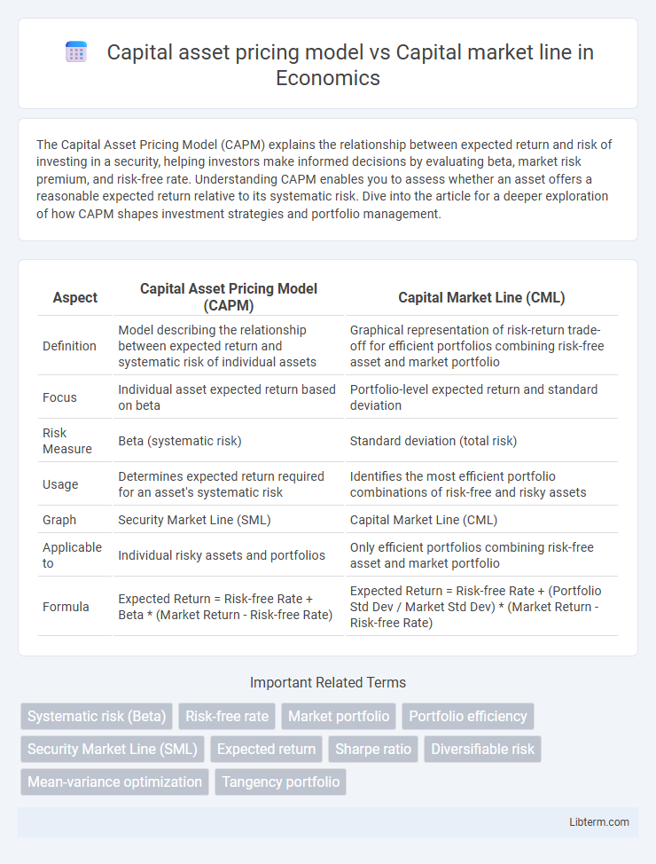 Capital market line vs Capital asset pricing model in Economics - What is The Difference?