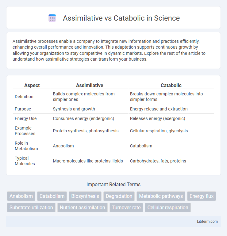 Catabolic vs Assimilative in Science - What is The Difference?