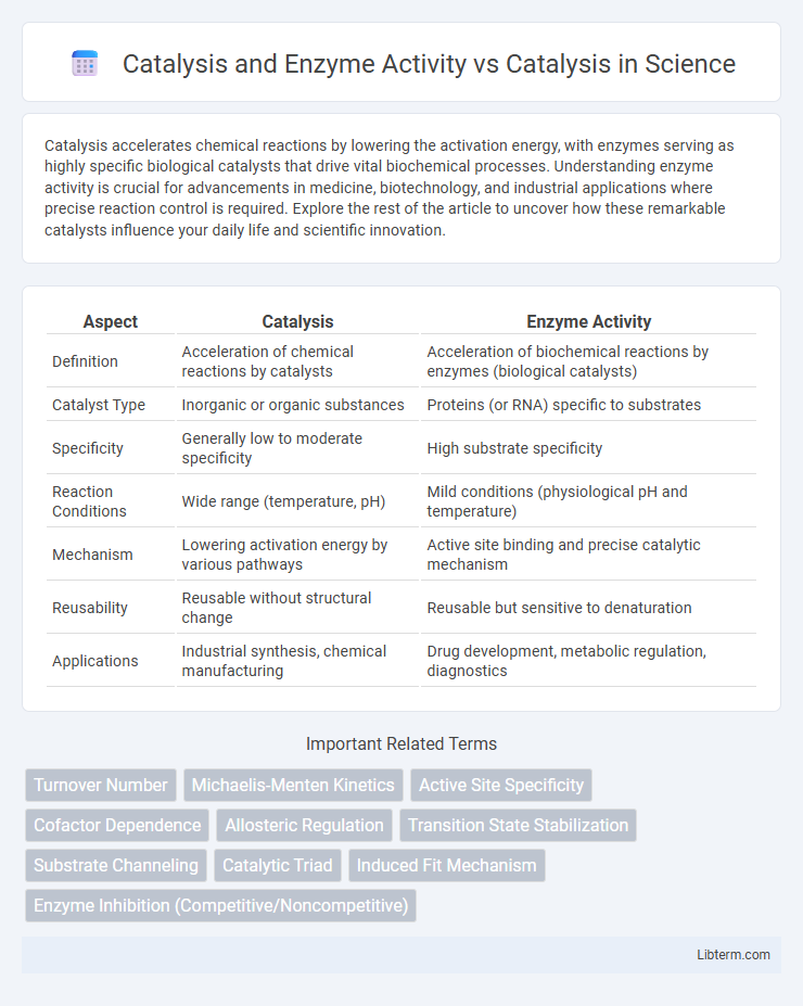 Catalysis vs Catalysis and Enzyme Activity in Science - What is The Difference?