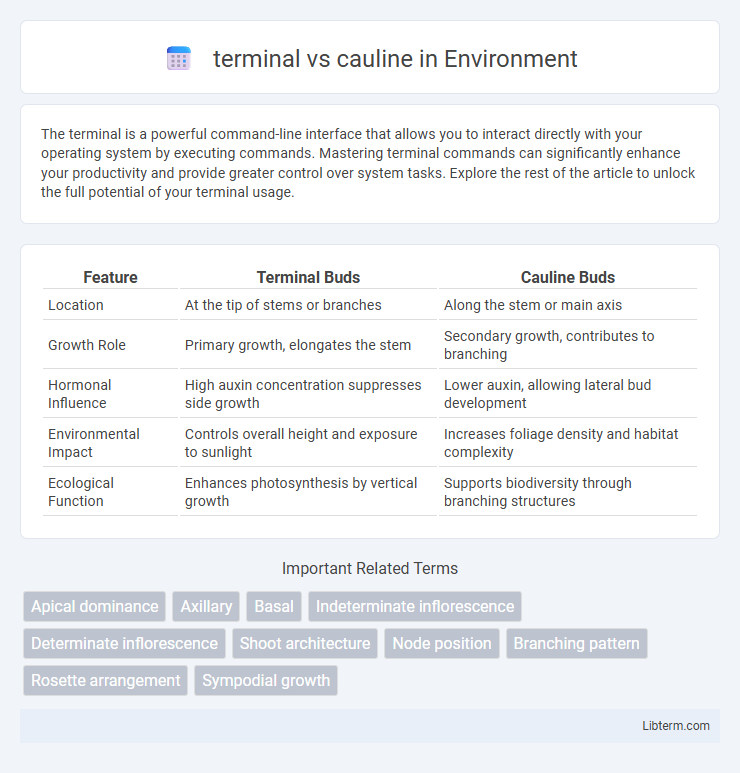 cauline vs terminal in Environment - What is The Difference?