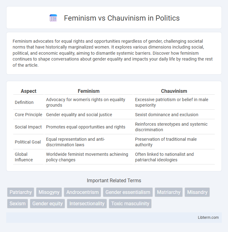 Chauvinism vs Feminism in Politics - What is The Difference?