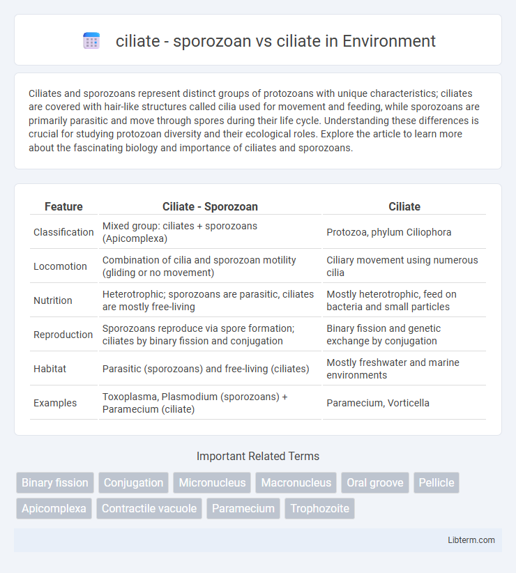 ciliate vs ciliate - sporozoan in Environment - What is The Difference?
