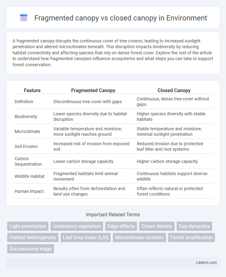 closed canopy vs Fragmented canopy in Environment - What is The Difference?