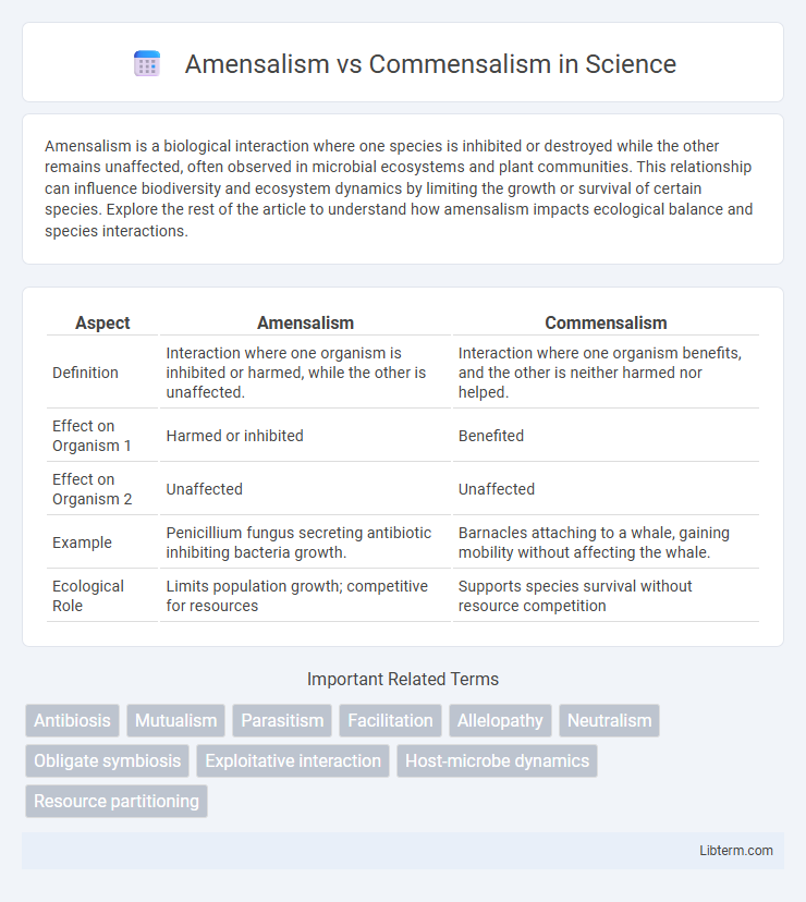 Commensalism vs Amensalism in Science - What is The Difference?