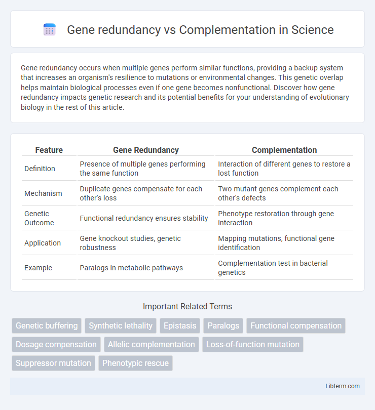 Complementation vs Gene redundancy in Science - What is The Difference?
