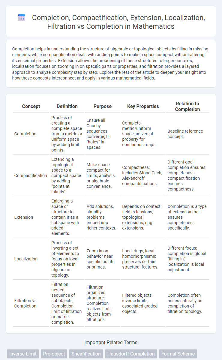 Completion vs Completion, Compactification, Extension, Localization, Filtration in Mathematics - What is The Difference?