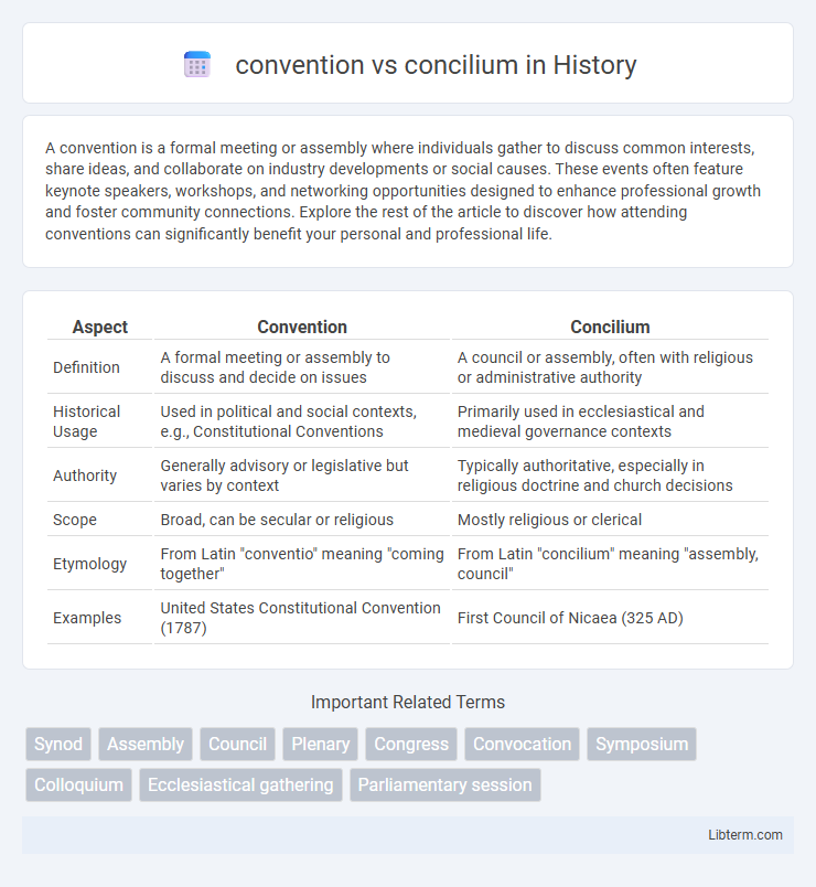 concilium vs convention in History - What is The Difference?