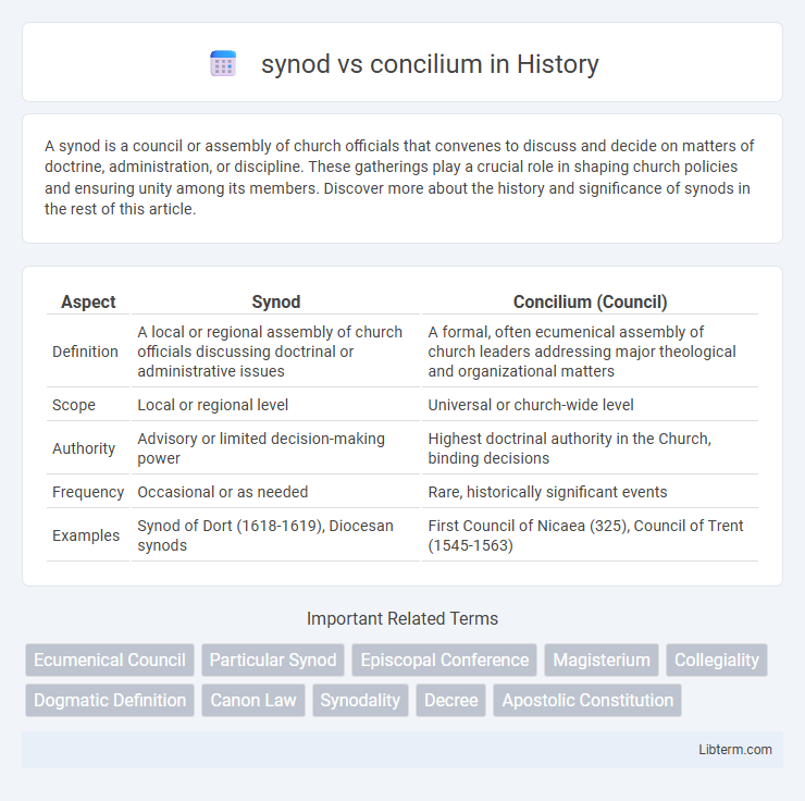 concilium vs synod in History - What is The Difference?