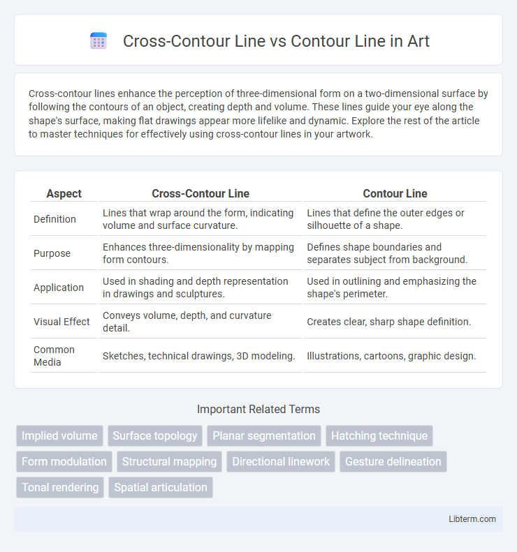 Contour Line vs Cross-Contour Line in Art - What is The Difference?